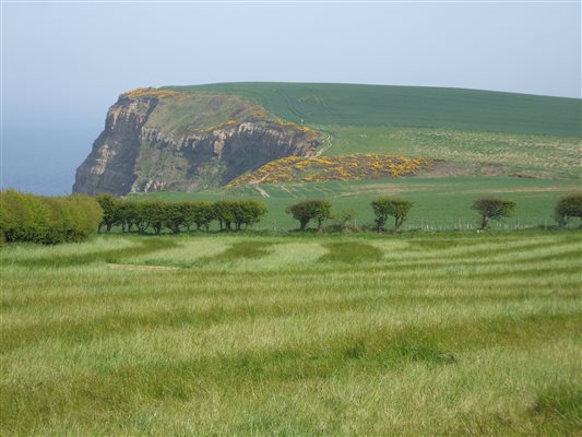 view from the fields